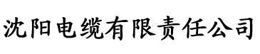 www.93nv.com电缆厂logo